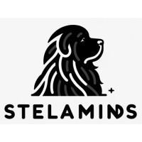 Stelaminds logo - Similar company to Digital Business Manager Bootcamp