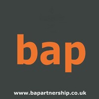bap logo - Similar company to Cg Talon