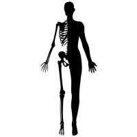 The Anatomy Trainer logo - Similar company to Michigan State University Department Of Physiology