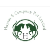 Hayees & Company Pvt Limited logo - Similar company to Westcom Group Limited
