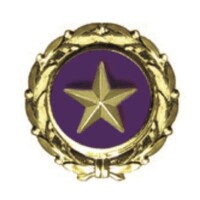 Sons and Daughters In Touch - Gold Star Children from the Vietnam War logo - Similar company to Mpi Tennessee Chapter