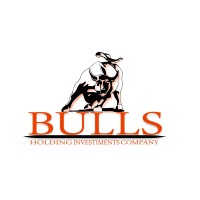 BULLS HOLDING INVESTIMENT COMPANY logo - Similar company to Gpm Holding