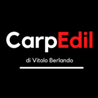 Carpedil Snc logo - Similar company to Re.Strutture