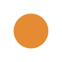 Brandit Co logo - Similar company to Brandid