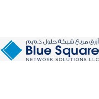 Blue Square Network Solutions LLC logo - Similar company to Teczone.Ae