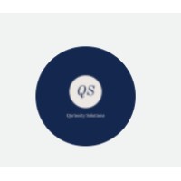 Q S logo - Similar company to Letstranscript