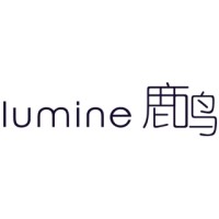 Lumine logo - Similar company to Forci Web Consulting