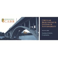 ICABR logo - Similar company to Eu-Mediterranean And African Network For Economic Studies-Emanes