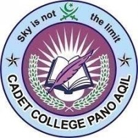 Cadet College Pano Aqil logo - Similar company to Codebusterspro
