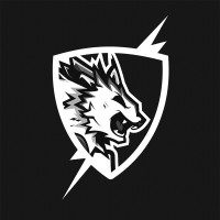 Flash Point Esports logo - Similar company to Double Helix Tracking Technologies