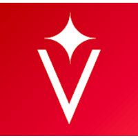 Visecoach logo - Similar company to Paradigm