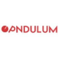 PNDULUM logo - Similar company to Paqtech