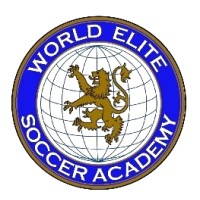 World Elite Soccer Academy logo - Similar company to Bruce Murray Soccer Academy