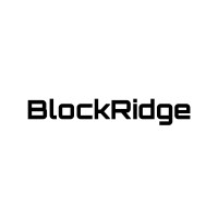 BlockRidge (Prev. Valuit) logo - Similar company to Valuit Solutions
