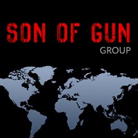 Son Of Gun LLC logo - Similar company to Dronevision