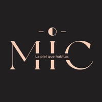 MIC logo - Similar company to Velkor