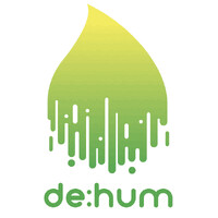 de:hum logo - Similar company to Paysec