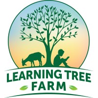 Learning Tree Farm Inc logo - Similar company to Invida Financial Network