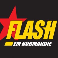 EM Flash logo - Similar company to Hit'Em