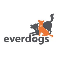 Everdogs