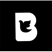 Bringlife Studios logo - Similar company to Craw Digital