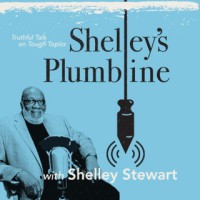 Shelley's Plumbline logo - Similar company to Pink Zebra Moving