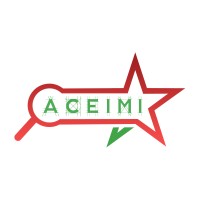 ACEIMI INSA Lyon logo - Similar company to Africonnect