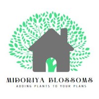 Midoriya Blossoms logo - Similar company to Materialhouse