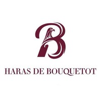 Ecurie de Haras De Bouquetot SAS logo - Similar company to Ecurie Racing Partners