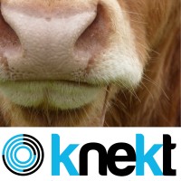 Knekt.nl logo - Similar company to Shift To Solar