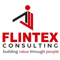 Flintex Consulting Pte Ltd logo - Similar company to Aryan Solutions Pte Ltd