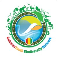 Guinean Youth Biodiversity Network
