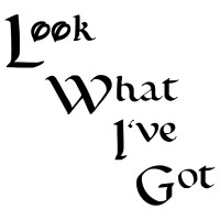 Look What I've Got logo - Similar company to Hciftci Group Llc