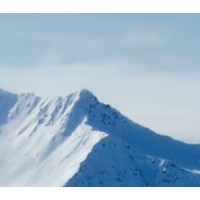 Alpine Development Partners LLC logo - Similar company to Verticali Real Estate