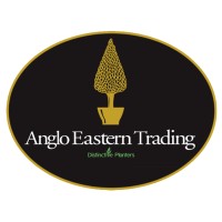 Anglo Eastern Trading Limited logo - Similar company to Q Smart - Mcs Umbrella