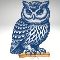 Hansen Learning Designs, LLC. logo - Similar company to Radcom, Inc.