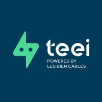 TEEI logo - Similar company to S.E.R