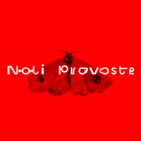 Noli Provoste logo - Similar company to Dan Magic Mx