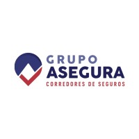 Grupo Asegura Uruguay s.r.l. logo - Similar company to Igneo