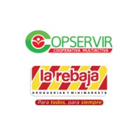 Copservir logo - Similar company to Ocuservis Sas