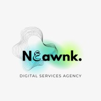 N3awnk logo - Similar company to Devfit