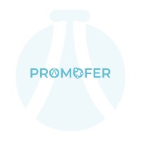 promofer-project logo - Similar company to Singletree