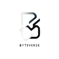 BYTEVERSE TECHNOTHINK SOLUTION PRIVATE LIMITED logo - Similar company to Softnova Labs Private Limited