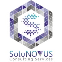 SoluNOVUS Consulting Services