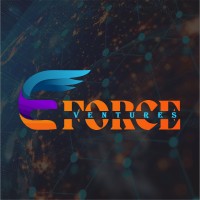 EForce Ventures logo - Similar company to Zonhack