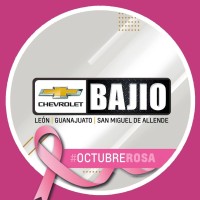 Chevrolet Bajio Motors logo - Similar company to Re Proje