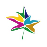 Netensia logo - Similar company to Xankom