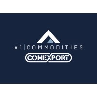 A1 Comexport logo - Similar company to Tesouro Agro