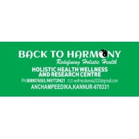BACK TO HARMONY logo - Similar company to Conscious Solutions
