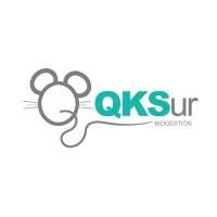 QKSur Biogestión, S.L. logo - Similar company to Savia Formación